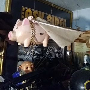 Authentic flying pig